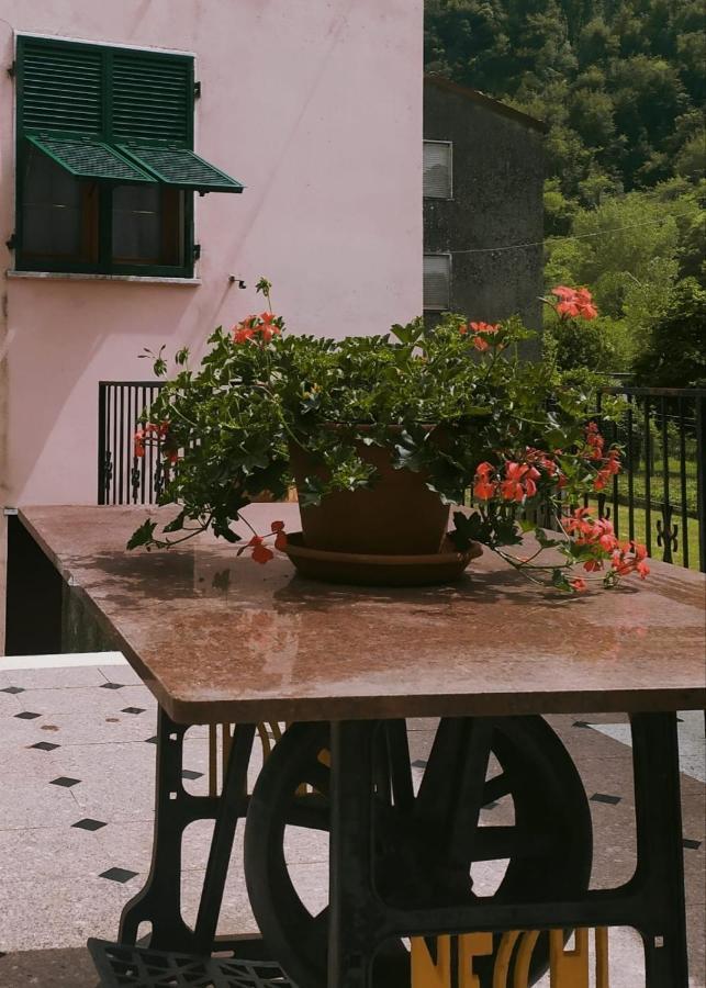 Casa Silvana Equi Terme Eksteriør bilde