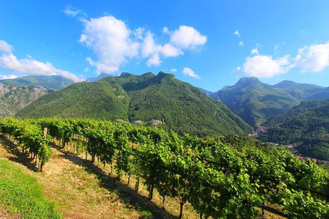 Casa Silvana Equi Terme Eksteriør bilde